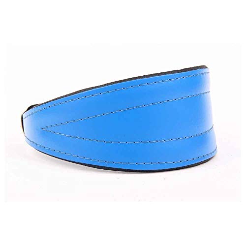 Round Collar – Buckle - 6Mm/35Cmpink
