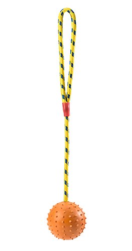 Ruber Ball With Rope Orange  Pack Of 3 | Hunter
