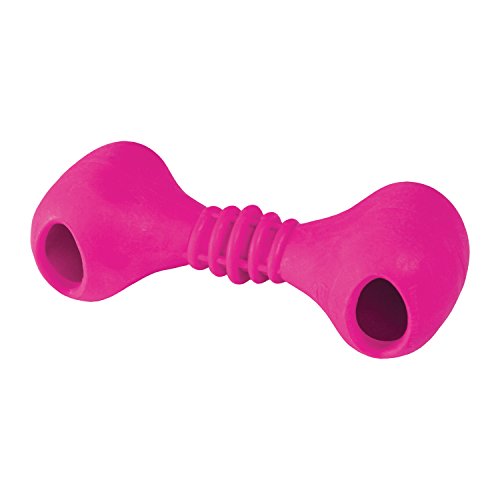 Kong Widgets Pocket Bone Small | Gorpets