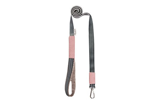 Harness Yeti With Lead Rose Xxs | Bowl & Bone