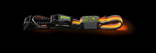 Led Flashing Collar Manoa Glow, 50 Mesh, Orange | Hunter