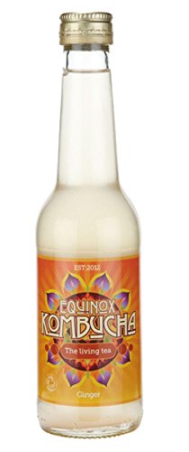 Equinox Kombucha Ginger Soda, 275 ml