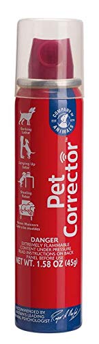 Pet Corrector  50Ml | Gor Pets