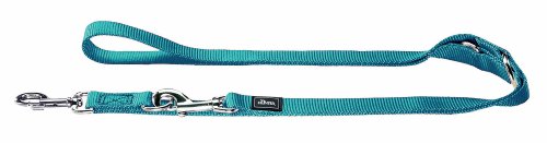 Training Leash 20/200 Nylon Teal | Hunter