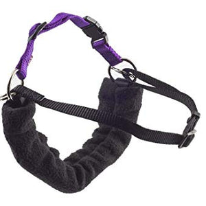 Ancol/Pure Dog Listeners - Stop Pulling Dog Training Harness & Lead Set - Small Size 3-4 (inc DVD)