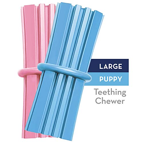 Kong Puppy Teething Stick Large (12Cm) Blue/Pink (Random Pick) | Gorpets