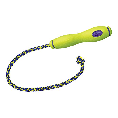 Kong Air Fetch Stick W/Rope Large (28Cm) | Gor Pets