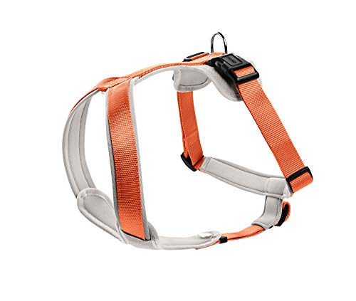 Harness Neoprene Xs 38-48 Cm, 15 Mm Nylon Orange/Neoprene Creme | Hunter