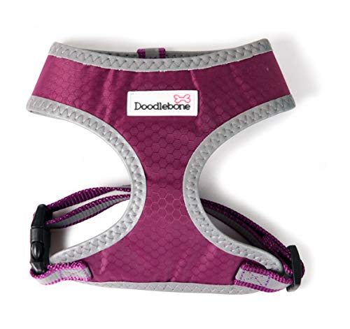 Toughie Harness Purple  Large | Doodlebone