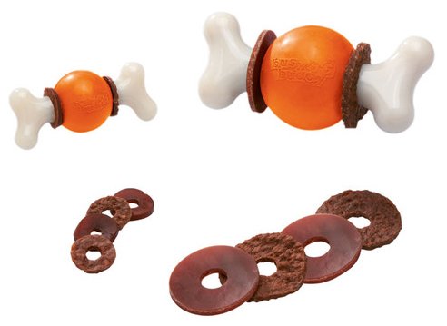 Toy Active Bone M Orange  Pack Of 3 | Hunter