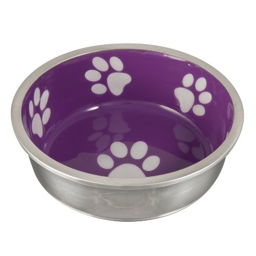X-Small Robusto Bowl- Violet | Loving Pet Products