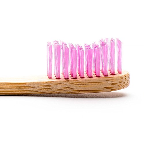 Humble Brush | Toothbrush - Adult Med Purple | 1 Brush | Pack of 1