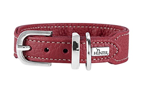 Collar Cannes Mini, 32 Burgundy, Leather | Hunter