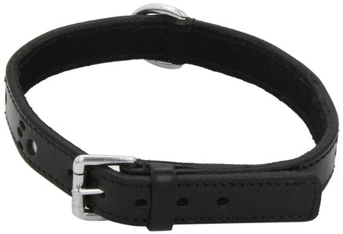 Collar Pattes Black 55