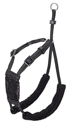 Coa Non-Pull Harness Medium Black | Gorpets
