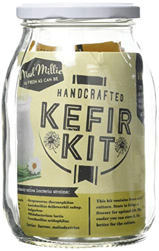 Mad Millie Kefir Kit 530 g