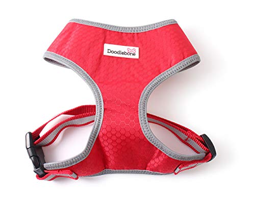 Toughie Harness Red Large | Doodlebone