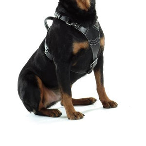 Harness Rock Attitudetude Black 01