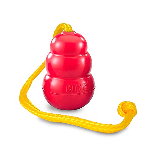 Kong Classic W/ Rope Medium