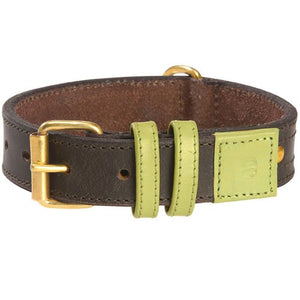 Collar Urban Dog Green 35