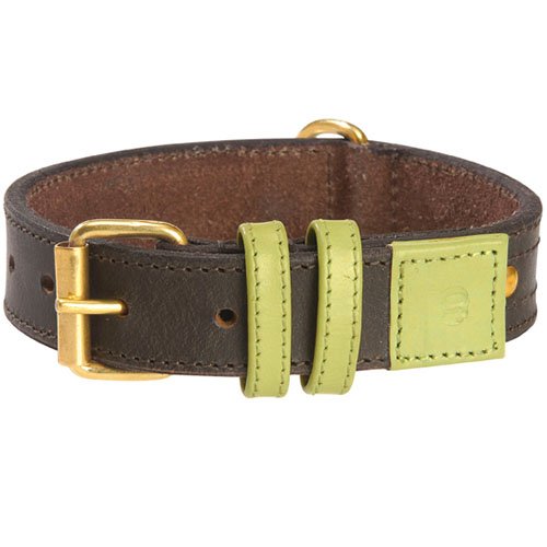 Collar Urban Dog Green 50