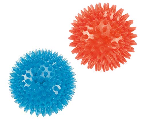 Gor Flex Squeaky Ball (9Cm) Blue/Red | Gorpets