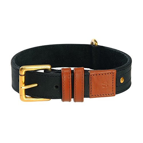 Collar Urban Dog Camel 30
