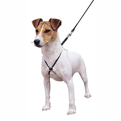 Lupi Harness Small Black | Gorpets