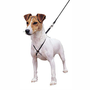 Lupi Harness Small Black | Gorpets