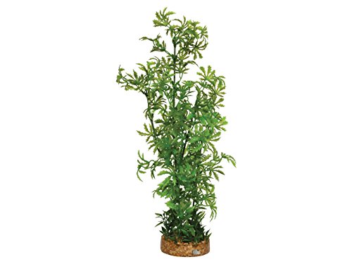 Plant With Airstone Base | Fadulla