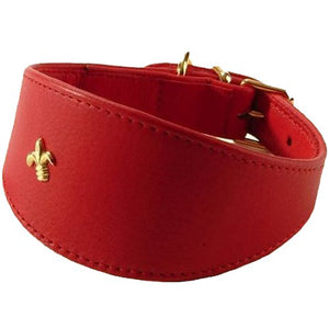 Collar Levrier Ruby 30