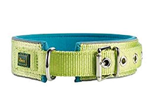 Collar Neoprene Reflect 50, 39-46 Cm, 45 Mm Nylon Light Green/Neoprene Petrol | Hunter