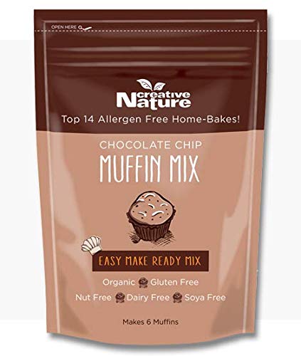 Creative Nature | Chocolate Chip Muffin Mix | 1 X 250G