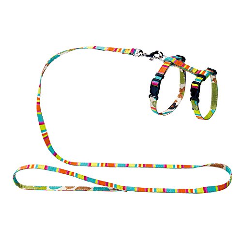 Harness With Leash Set Nylon Coloured  Pack Of 3 | Hunter