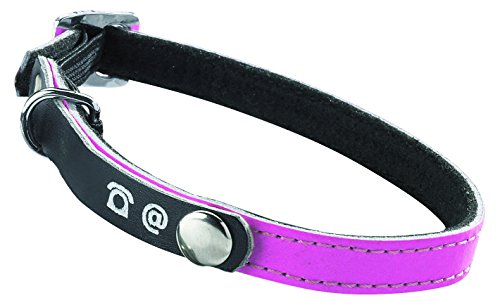 Reflective Cat Collar Porte-Adresse Pink