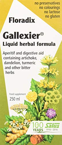 Floradix Gallexier Artichoke Food Supplement 250ml