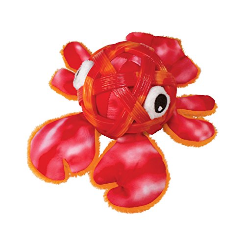 Kong Sea Shells Lobster Medium/Large