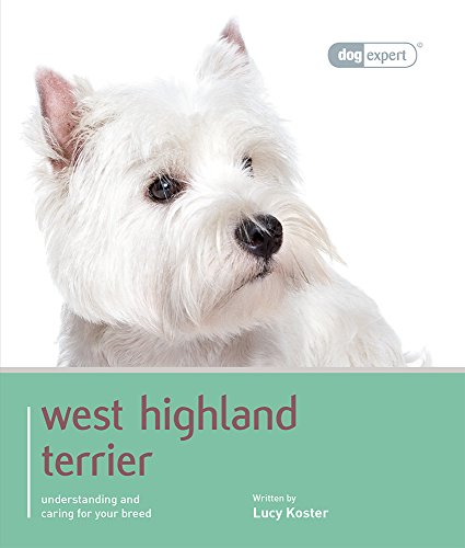 West Highland White Terrier - Dog Expert