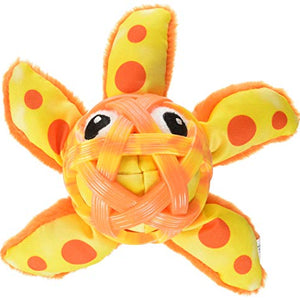 Kong Sea Shells Starfish Small/Medium