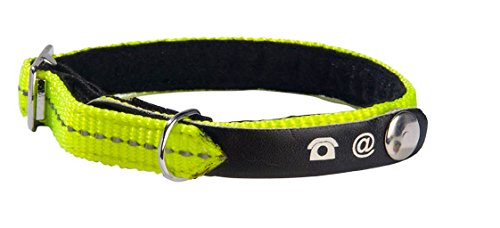 Cat Collar Lost Yellow Xs