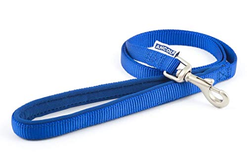 Ancol Padded Nylon Lead Blue 1.8mx25mm