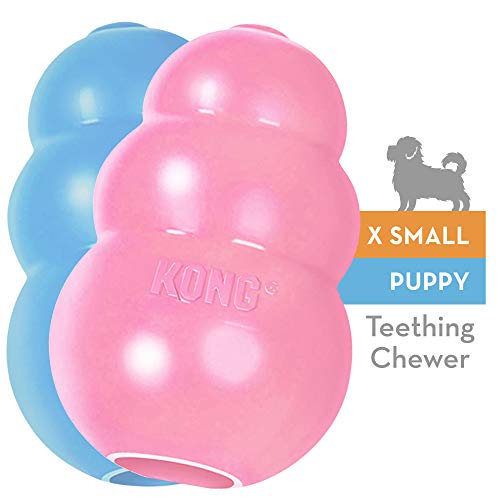 Kong Puppy X-Small (5.5Cm) Blue/Pink (Random Pick) | Gorpets