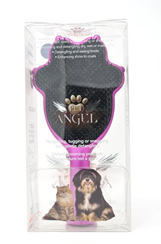 Pet Angel  Turquoise