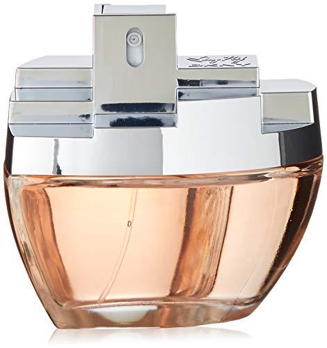 Donna Karan MYNY Eau de Parfum Spray for Woman 100 ml