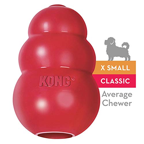 Kong Classic X-Small (5.5Cm) Red | Gorpets