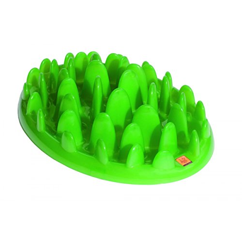 Green Mini Slow Dog Feeder | Gorpets