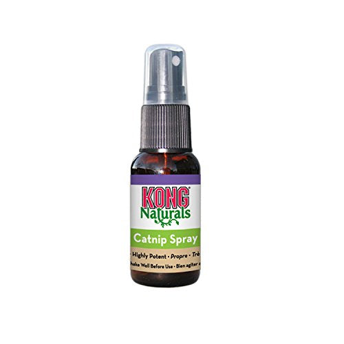 Kong Catnip Spray (30Ml) | Gor Pets