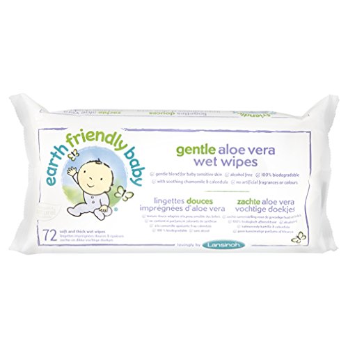 Earth Friendly Baby Gentle Aloe Vera Wet Wipes