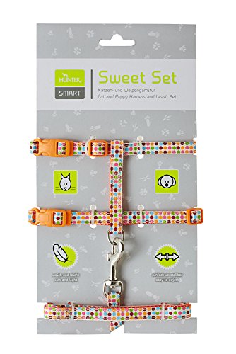 Harness With Leash Set Nylon Orange  Pack Of 3 | Hunter