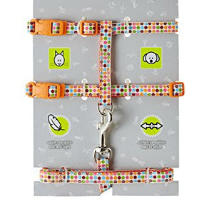Harness With Leash Set Nylon Orange  Pack Of 3 | Hunter